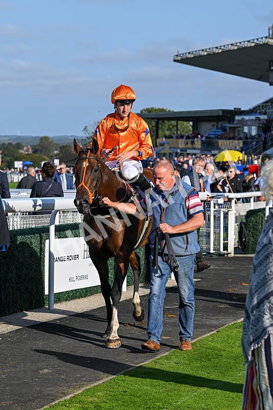 180924-Race 6-Elegant Erin-5078 - Race 6