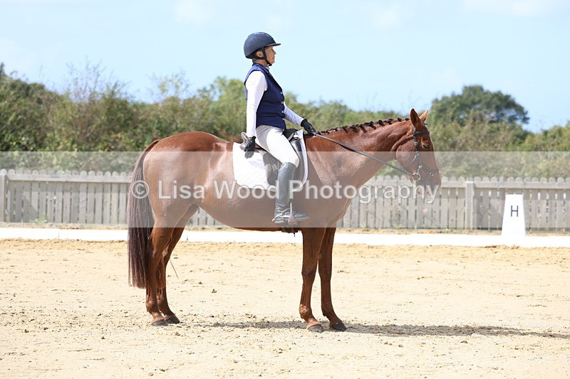 3E7A4033 - Class 9: Novice 6 Section B Championship