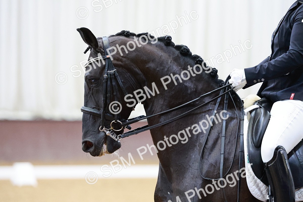 SBM_005496 - Class 3 - Medium 6 - 14.40-15.52