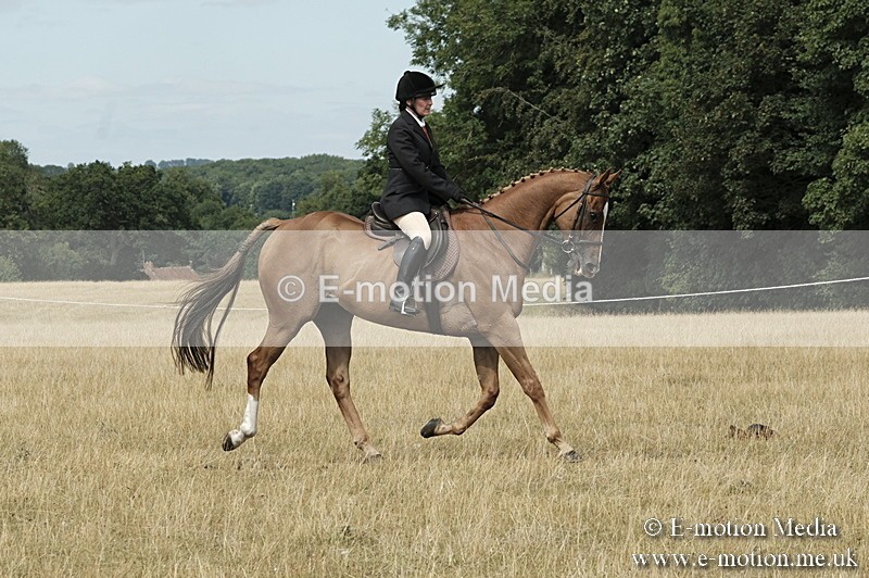 _PJP6090 - BVRC Show 2018 Ring 1