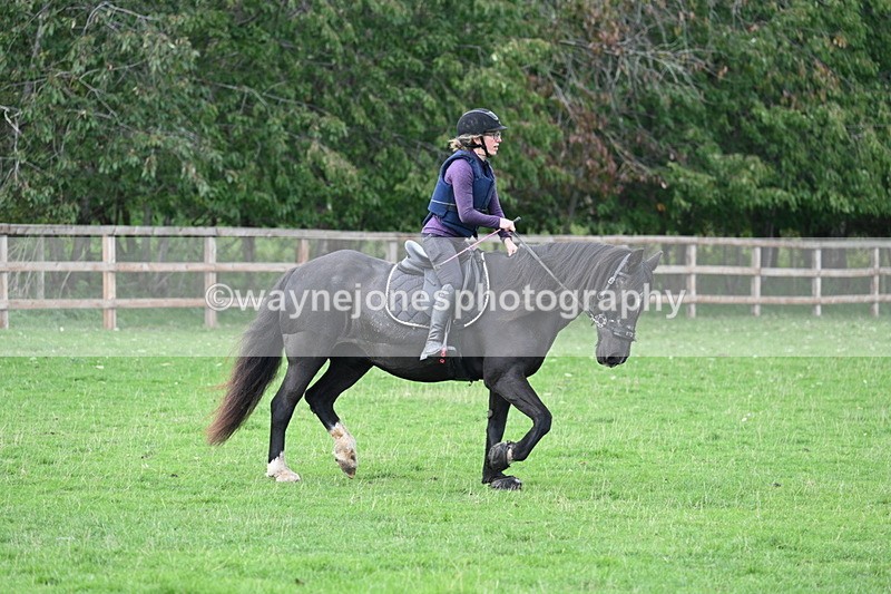 WJ7_9954 - Time 13:13 to 13:55