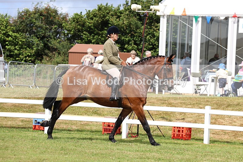 3E7A9405 - Class 4: Rising Star M/H Hunter