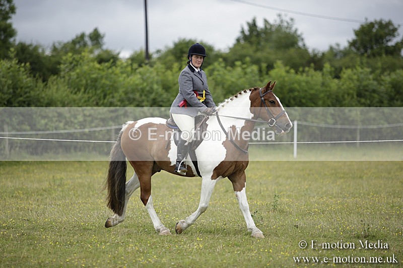 BVR160717-2091 - Ridden Championship 16/07/17