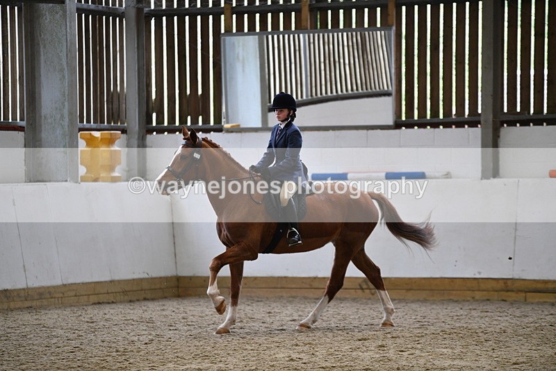 WJ5_7791 - Class 13 Ridden Part Breed