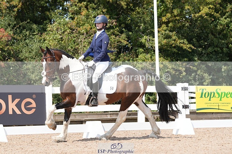 250817-122632-09359 - 050-Mollie.SheathTouch.Wood