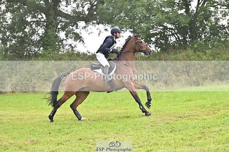 240901A-124555-08533 - 308-Tommy.Greengard-MBF.GOOGLE