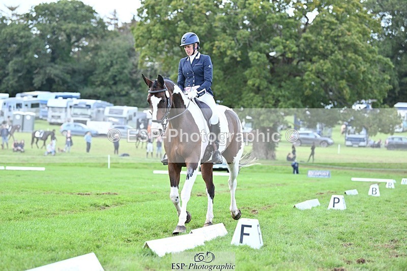 231020-145137-11000 - 669-FOXRIDGE.HIGH.JINX-Claire.Deuten-DR