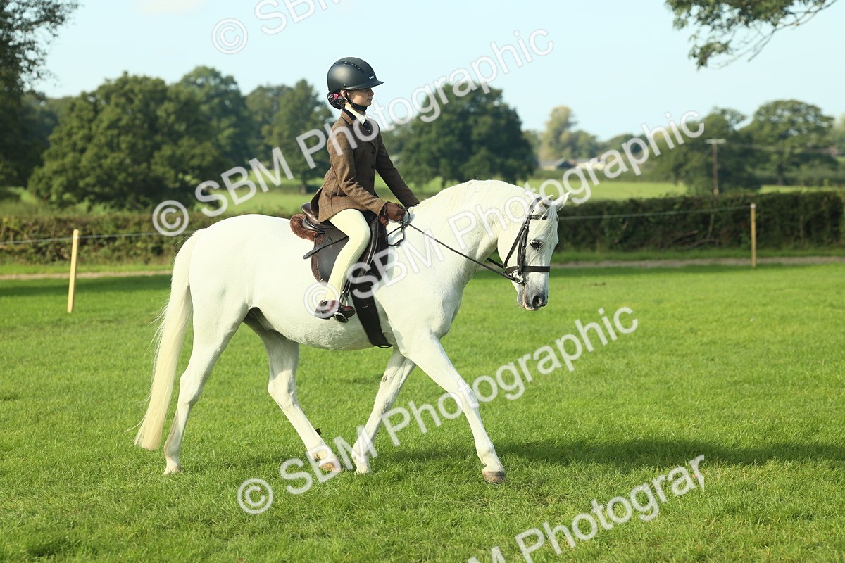 SBM_59832 - S38 - Starters Ridden Showing