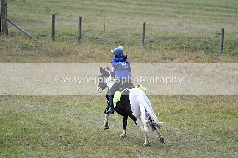 WJ7_5975 - Time 11:50 to 12:09