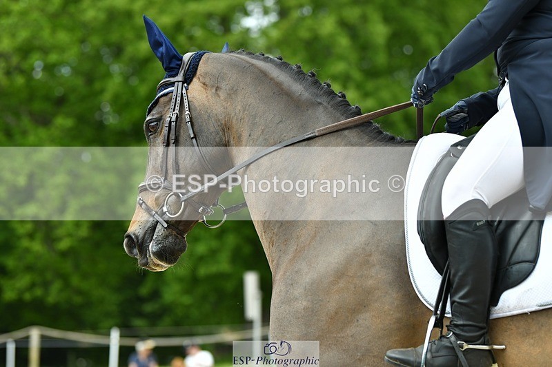 230525-121245-04200 - 207-TYNAN_COOLEY-Lucy_Stimson-WEDTrotUp+DR