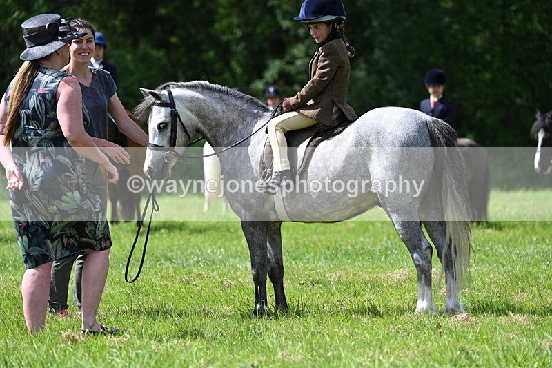 WJ7_1493 - Class 11 Condition & Turnout