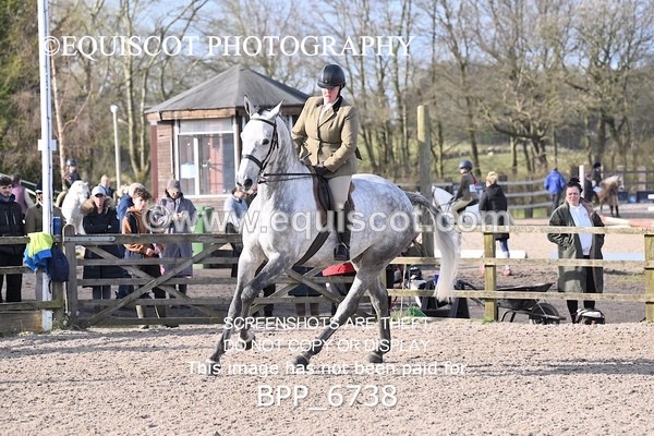 BPP_6738 - RING 1  (RIDDEN HORSES / IN HAND / VETERAN ETC)