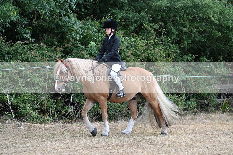 WJ7_7035 - Class 2 Best Rider