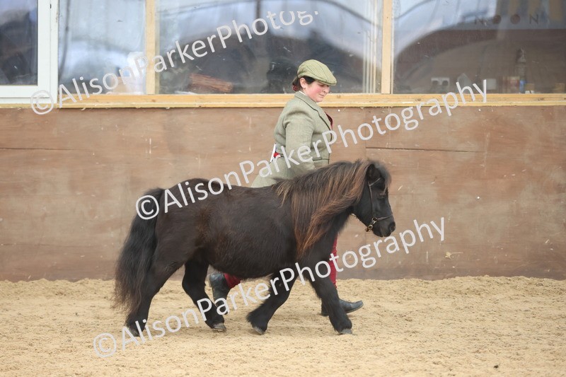 20251109-0362 - Class 13 - Mares 4 Years and Over