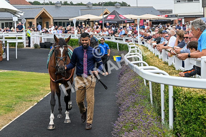 040826-Race 1-National Pride-4308 - Race 1 14.15pm Army Benevolent Fund/EBF Novice Stakes