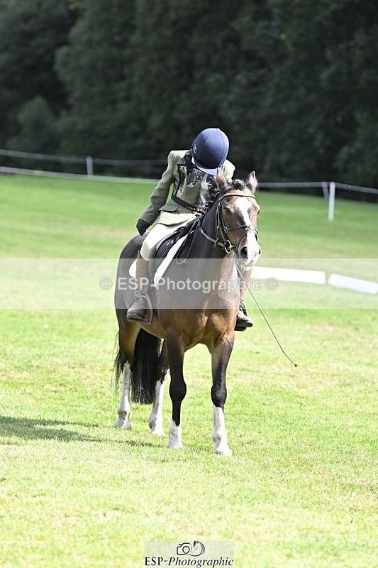 250821A-103846-14451 - DR 10.00 to 11.00