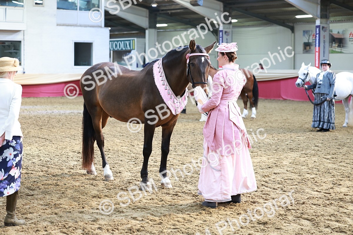 SBM_12079 - Class 103 - IH Costume