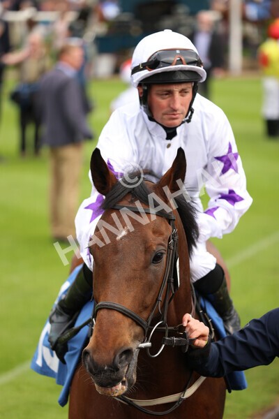 yr22052022r4-3 - Race 4: 5:05pm Sky Bet Sunday Mile