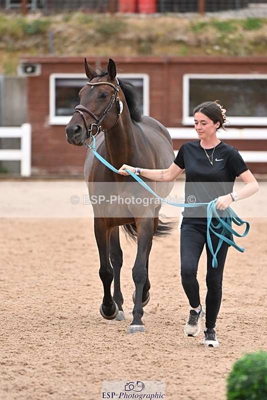 250716-140458-00894 - Trot Up 1.30 to 2.30