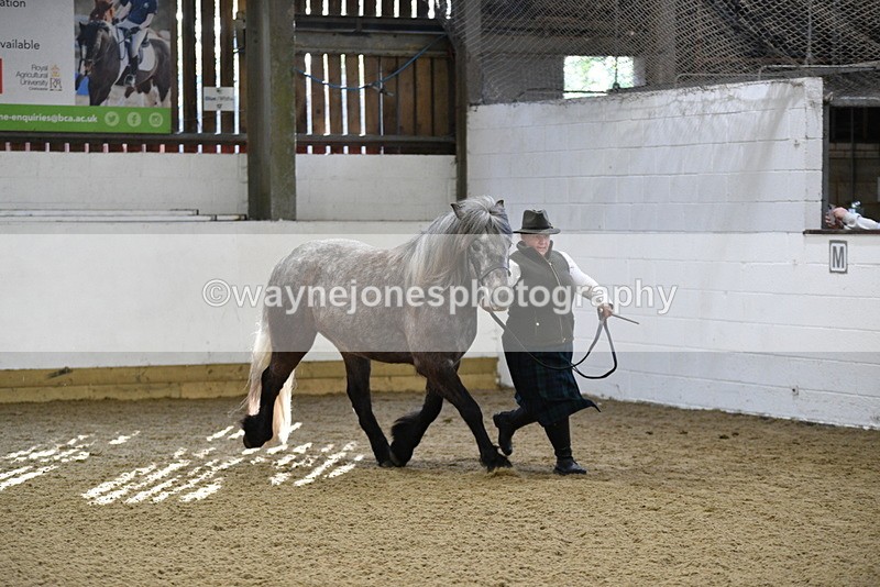 WJ5_3478 - Class 1 Youngstock