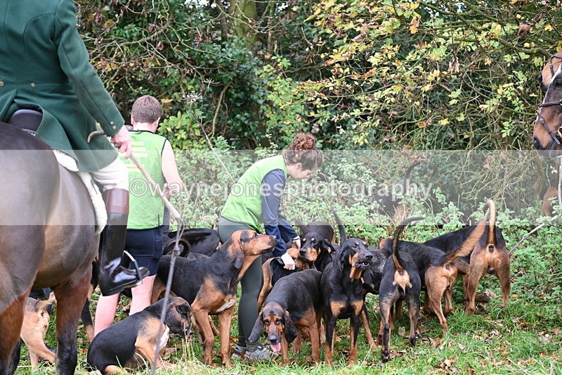 WJ6_8541 - Meet