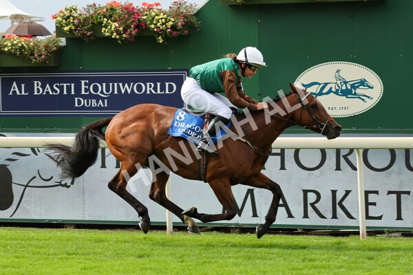 yr04092022p2-38 - 12.50pm. 148cm Open Pony Race