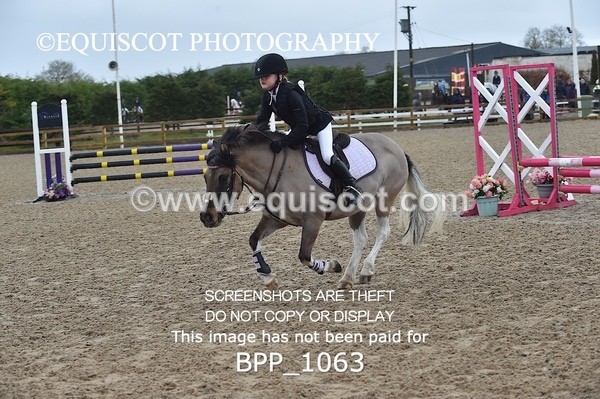 BPP_1063 - CLASS 1 Club/ Unaffiliated 60cms Open