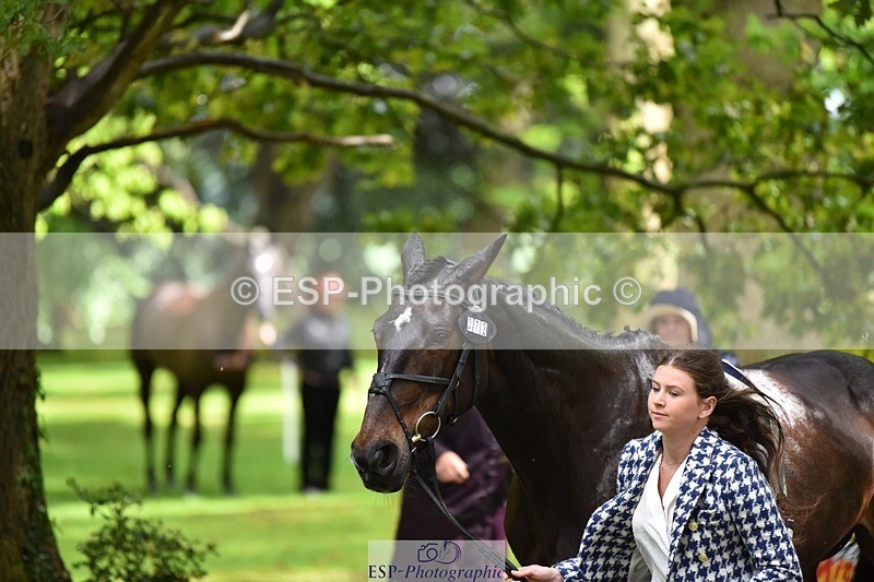 240522-153924-00506 - 372-PENCOS_CROWN_JEWEL-Millie_Juleff