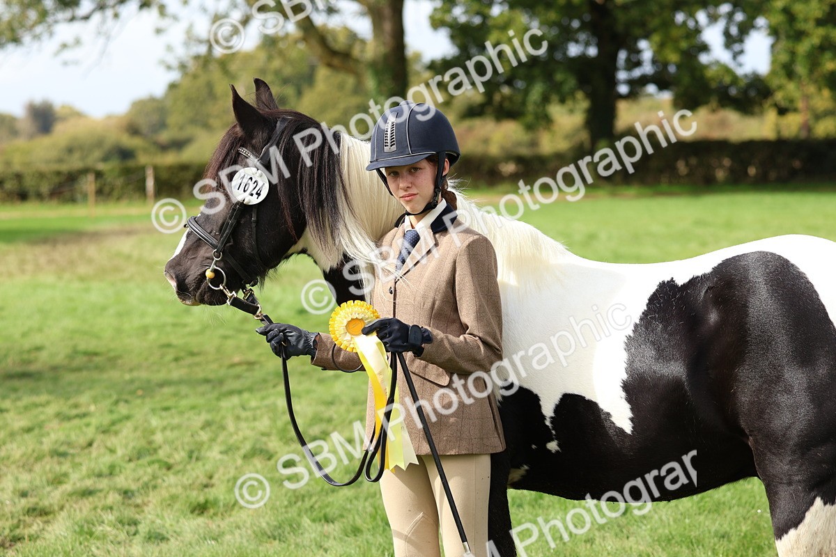 SBM_40802 - S25 -  Veteran In Hand