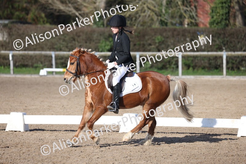 20260214-0371 - Class 4 - Novice 2