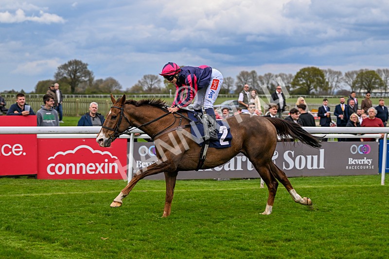 150426-Race 5-Elysian Flame-7122 - Race 5