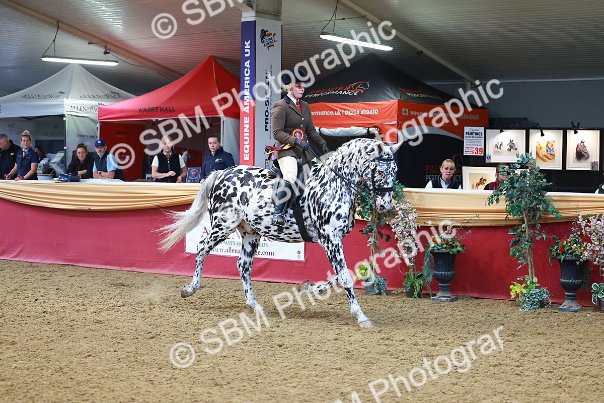 SBM_12719 - Class 103 - HOYS Veteran Qualifier - Ridden Pre Vet