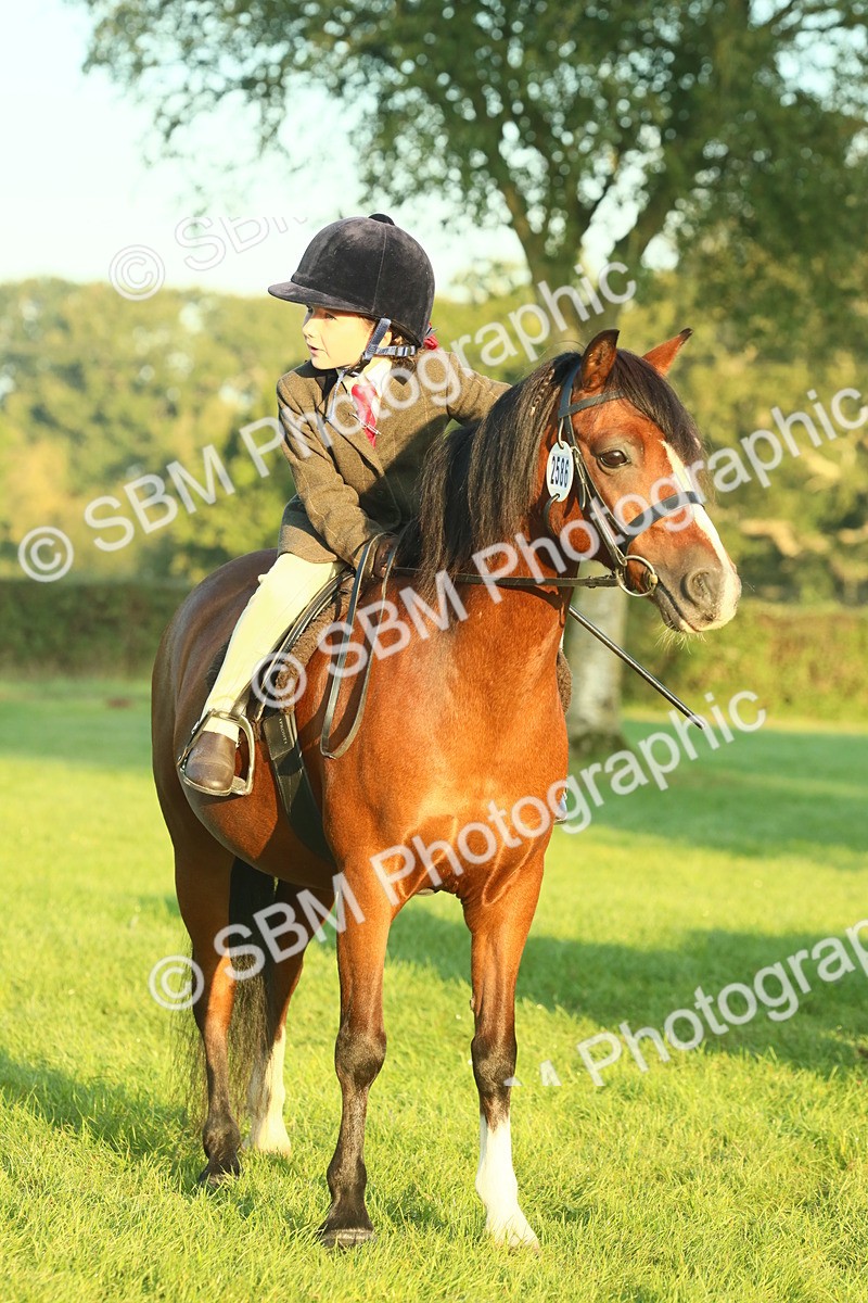 SBM_56509 - S36 - Starters Best Turnout