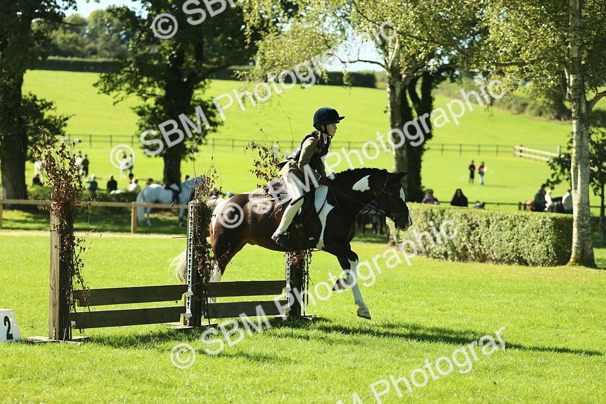 SBM_37527 - S29 - Novice & Newcomers Working Hunter Pony