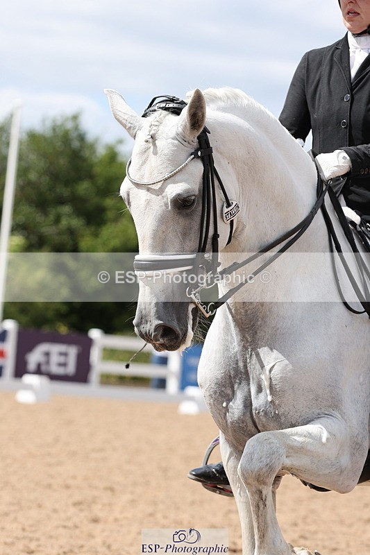 240622A-154256-14299 - Cls 36 BD Adv Medium 98