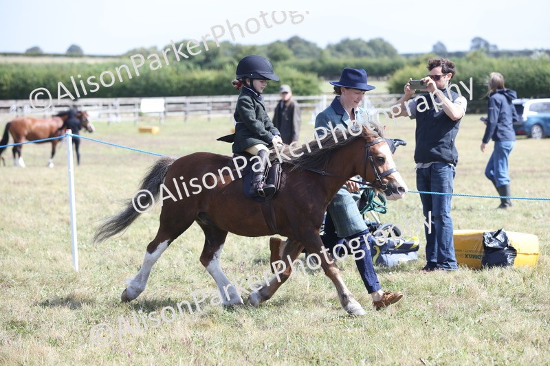 20250831-2805 - Class 18 - Childs First Pony