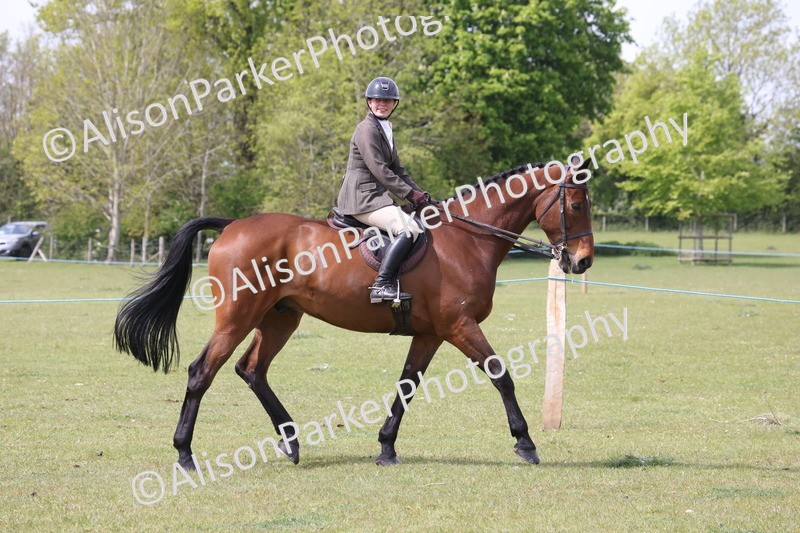 20260426-4310 - Class 34 - Best Riding Horse Over 14.2hh