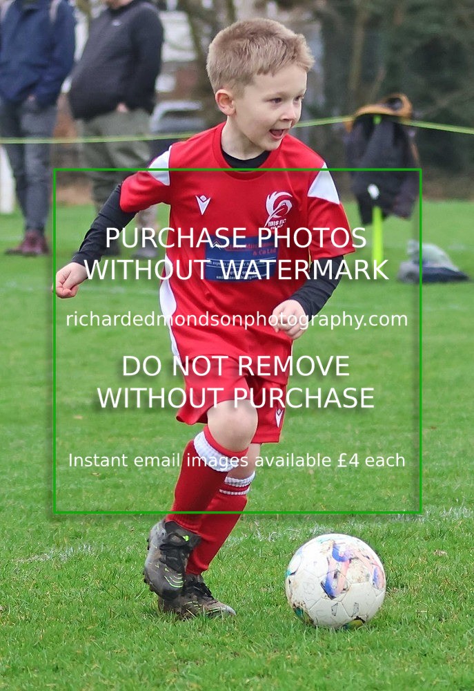 533A0721 - Ibis Under 7's (28/2/26)