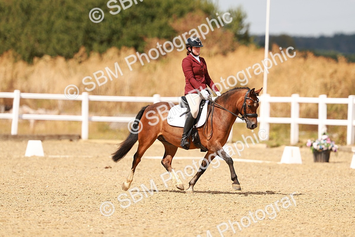 SBM_018638 - Class 9 - N5 Bronze 11.57.13.07