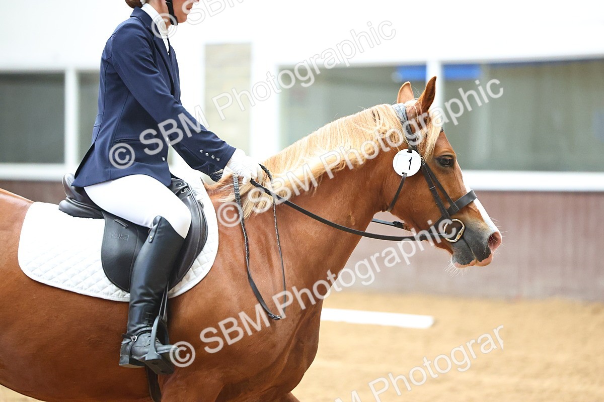 SBM_004147 - Class 1 - Intro 2-3