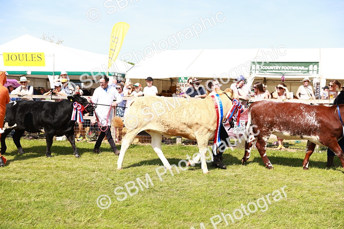 SBM_08335