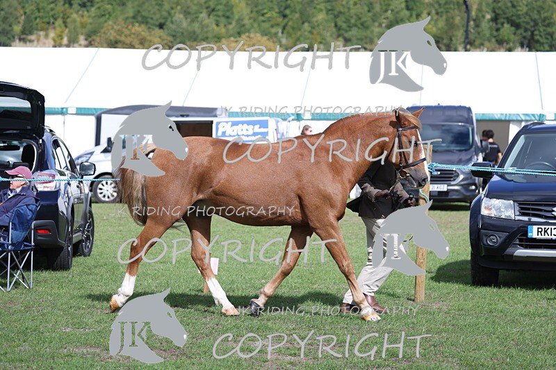 APP_2787 - Class 10a/b M&M in hand