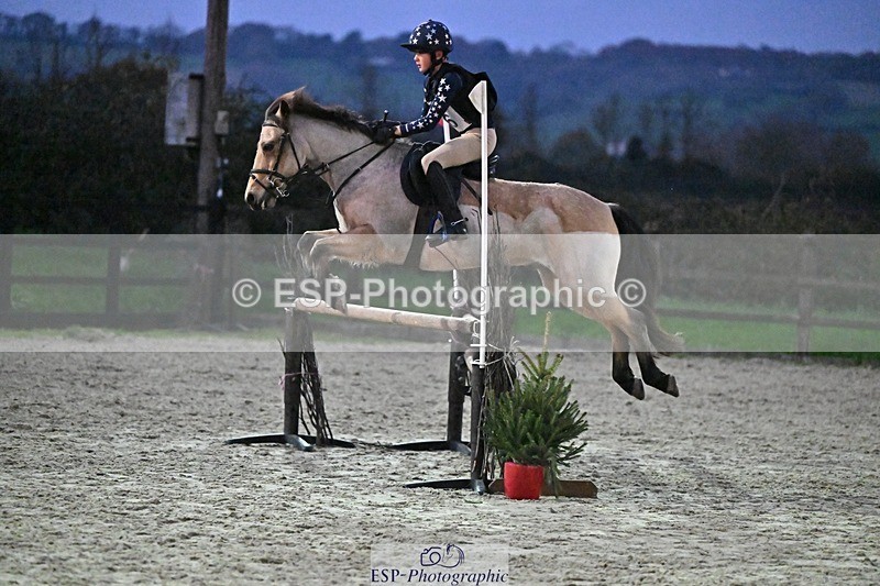 241110-165012-01503 - 90-95cm Arena Eventing
