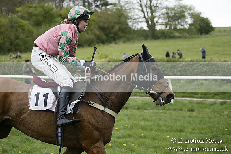 PtP 170417 578 - Old Berks Point-to-Point Lockinge 17/04/17