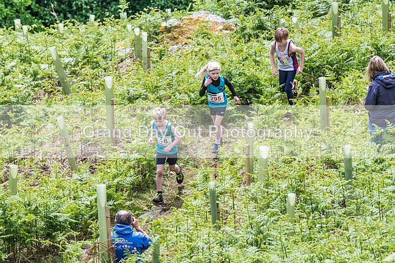 Coniston Juniors-8 - Coniston Gullies Junior Fell Races Sunday 25th May 2025