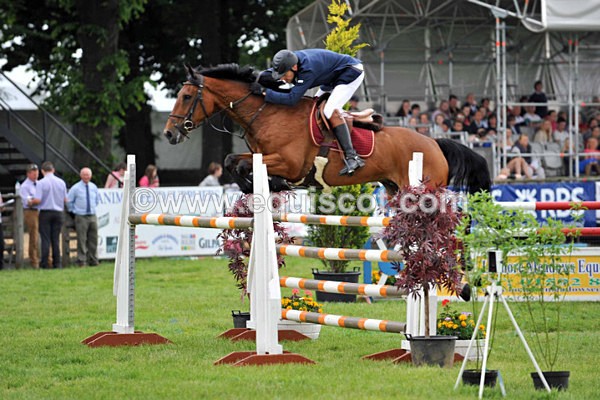 EQUISCOT 9274 - A WEE PEEK AT RHS 2013