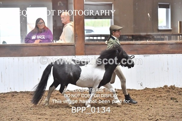 BPP_0134 - RING 1