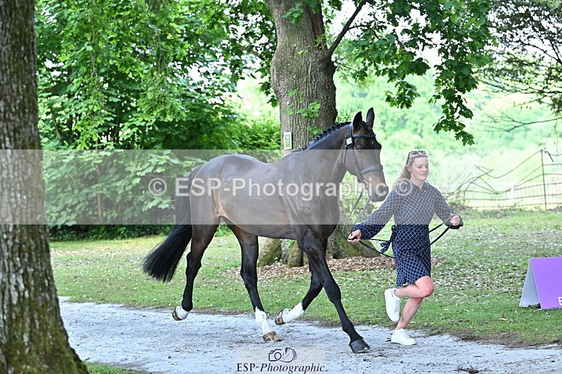 250521A-155304-00818 - B-376-Lucy.Robinson-BELLINE.SECOND.CHANCE