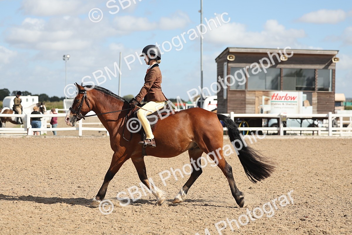SBM_23098 - Class 806 - Young Rider 10ry and Under