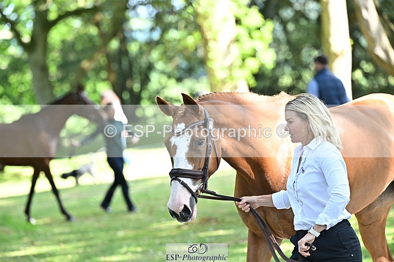 250521A-160152-00874 - C-227-Jonelle.Price-I.LIKE.IT.DE.ROHAN